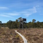 Naturreservat Djurholmamossen