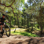 Mountainbike i Kronoskogen