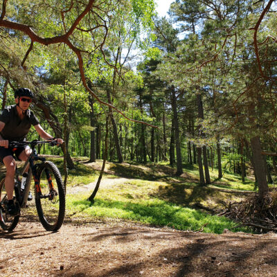 Mountainbike i Kronoskogen