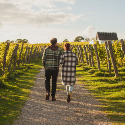 Terra Skåne – en ny värld av vin