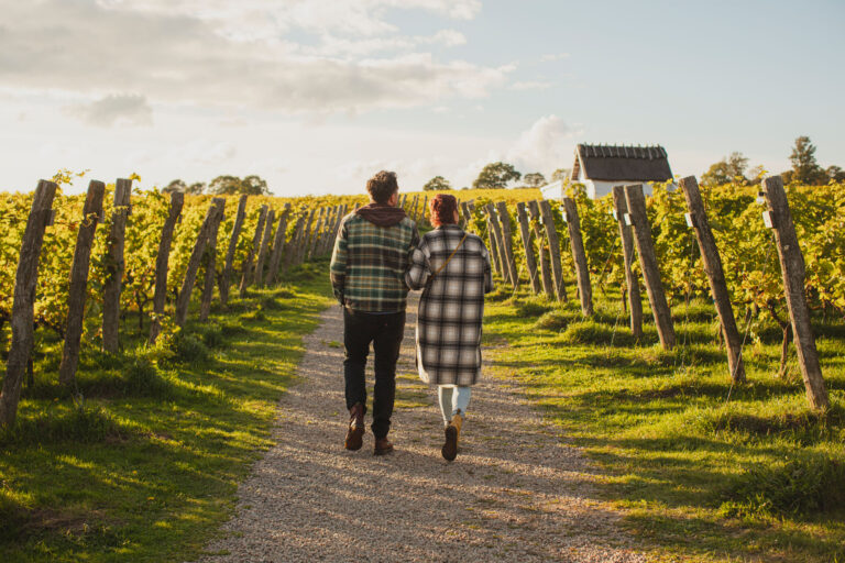 Terra Skåne – en ny värld av vin