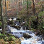 Naturreservat Århultsbäcken