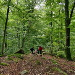 Hallandsåsen
