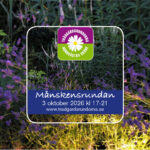 Månskensrundan 2026