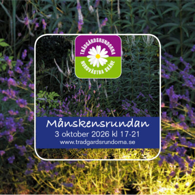 Månskensrundan 2026
