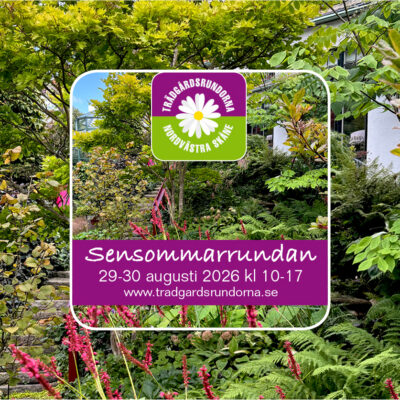 Sensommarrundan 2026