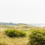 Naturreservat Ängelholms Strandskog