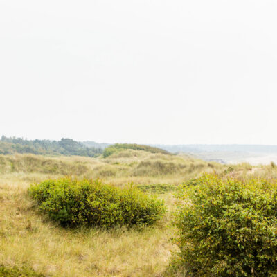Naturreservat Ängelholms Strandskog