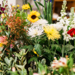Blomsterlandet