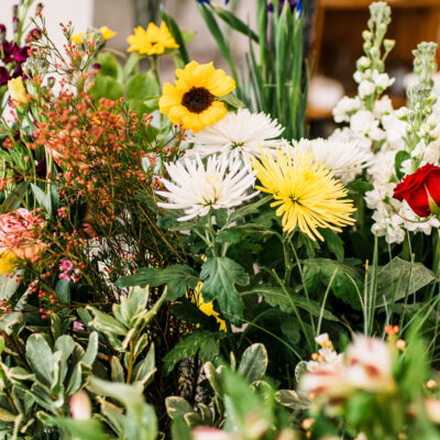 Blomsterlandet