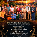 Konsert – Visor, Klassisk gitarr och en gnutta Jazz